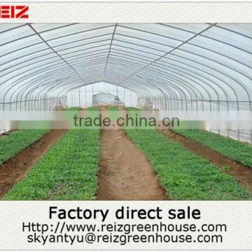 15 years warranty 100% bayer reinforced cheap plastic agriculture single tunnel greenhouse