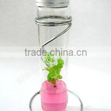 Finger Flower.Pet plant.Valentine's day gift