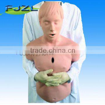 Adult Obstruction Model and CPR Training Manikin Model