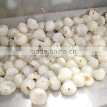 Best Quality Litchi Pericarp Removing Machine photo-4