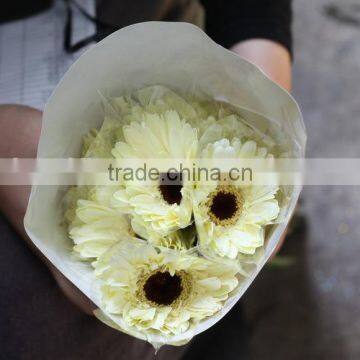 Various Hot-sale Flower Single Stem Gerbera photo-3