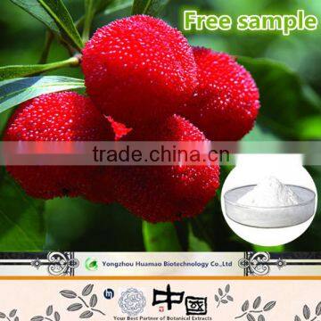 Manufacturer wholesale with competitive price natural organic Bayberry Extract