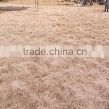 Brown Color Sisal Fiber With High Quality