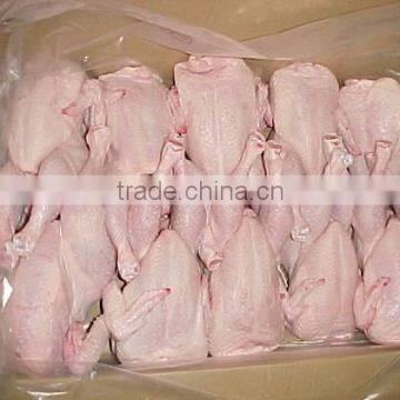 Halal whole chicken