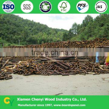 Chinese Fir Edge Glued Solid Wood Panels photo-4