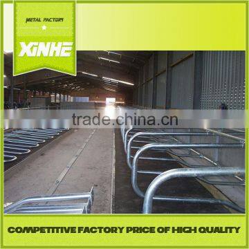 China Supplier Cattle cow free stall cattle cubicles