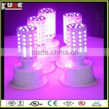 Hot Sale Cordless Led Glowing Corn Lights for Bar Decoration photo-3