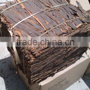 cassia whole with strong smell HOT SALE