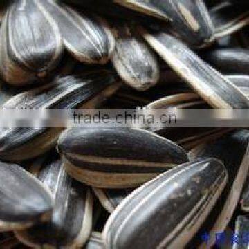 sunflower seeds origin of place CHINA