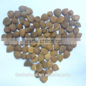 Bitter Apricot Seed