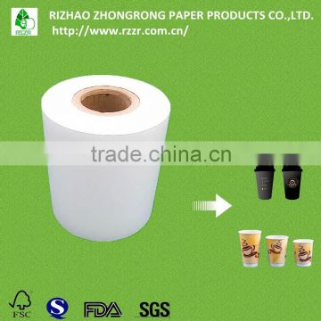 Double Side PE Coated Paper Roll