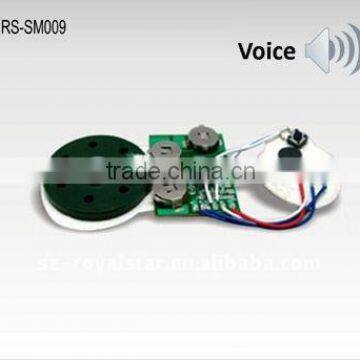 Recordable Voice Module