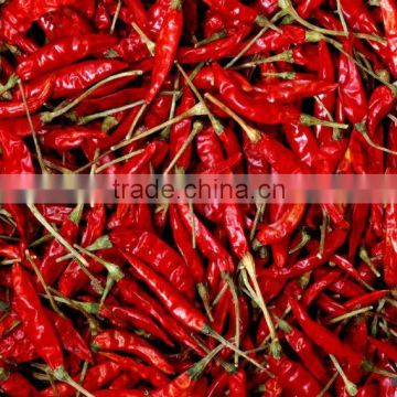 Chinese dried red chilli