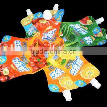 Standing pouch with cap packing machine
