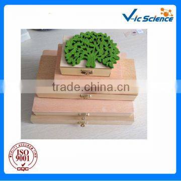 Different size educational accessories prepared slides wooden box