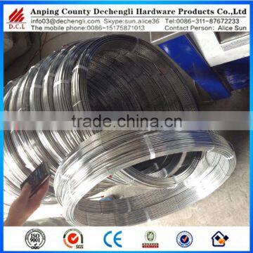 17/15 3.0x2.4mm galvanized mild steel wire/galvanized oval wire