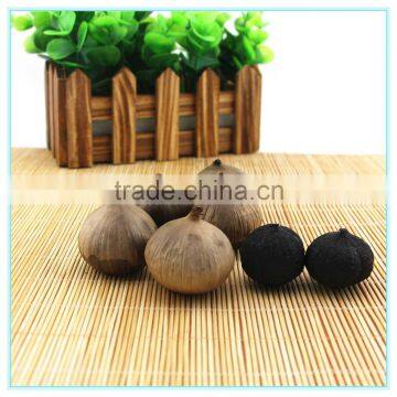 Black Garlic Shampoo Material Black Garlic