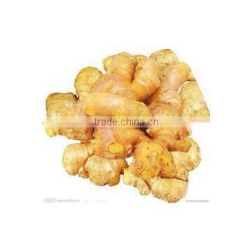 Naturally Grown China Ginger 2016'