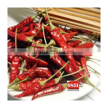 China dried Pimento Pimiento chili red pepper