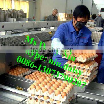 Automatic Egg Weighing Grading Machine/egg Grading Packing Machine/egg Grader for Packing photo-3