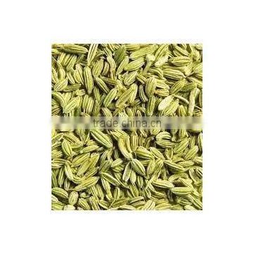 Fennel Seeds