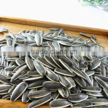 Top Quality Sunflower Seeds 909 For Human Consumption