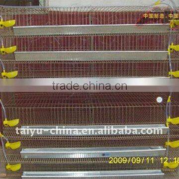 Taiyu-5 quail cages