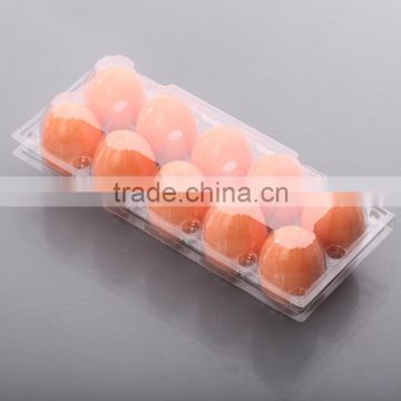 Egg Tray/Plastic vaccine quail egg tray/Disposable egg tray