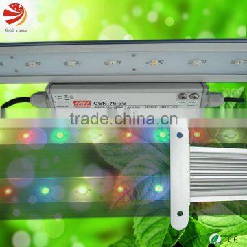 2012new design and best plasma led grow light bar