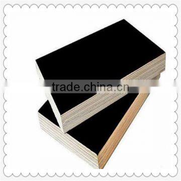 Film Faced Plywood / Marine Plywood /Shuttering Plywood photo-2