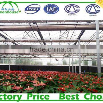 Venlo Glass Greenhouse photo-5