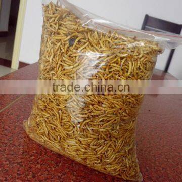 High Quality Low Price Pet Bird Food Dried Mealworm, Chicken Feed Mealworm photo-2