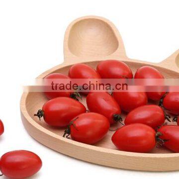 High Grade Creative Cute Rabbit Design Wood Trays for Kinds photo-3