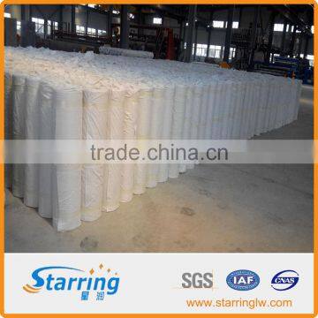 CPE Geomembrane photo-2