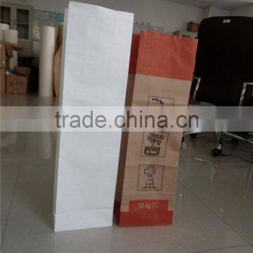 Recycled and Reused Low Cost Craft Paper Bags photo-4