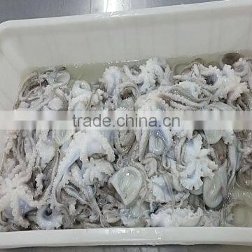 Fresh Frozen Baby Octopus For Sale photo-3