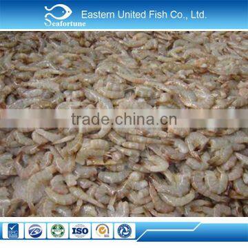 new arrival IQF fresh vannamei shrimp