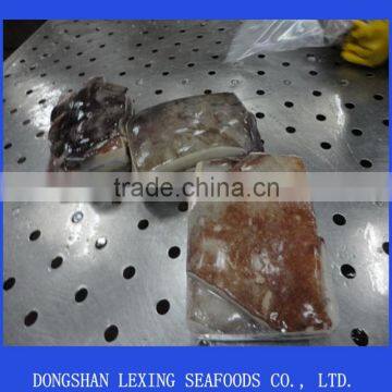 frozen giant squid wing