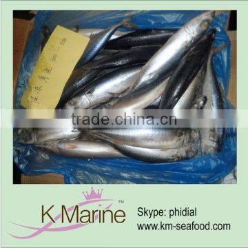 300g up Whole Round Sea Frozen Mackerel Fish