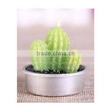 Cactus and Grape Plant Birthday Scented Candle photo-2