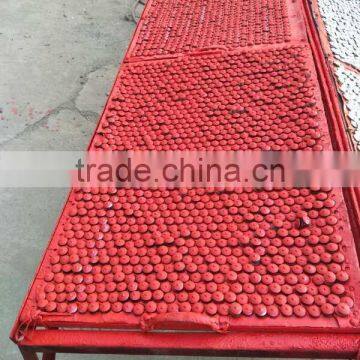 Color Painted Galvanized Roofing Nails