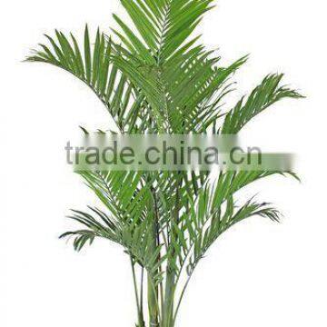 Decor Indoor Artificial Areca Tree Decoration Home Artificial Areca Tree Decor Indoor Office photo-5