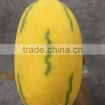 Artificial Similation by 90 % Fruit and Vegetable Prices With Mango, Banana, Starfruit, Pomelo photo-3