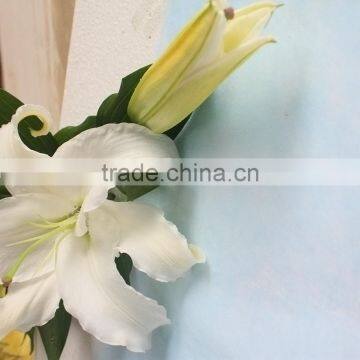 2016 Hot Sale Decorative White Spray Head Lily FlowerWedding Table Centerpieces Flower Wholesale Flower From Yunnan photo-6