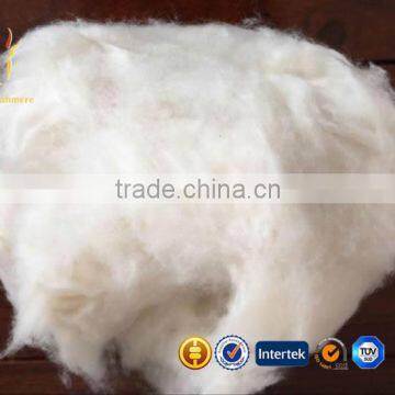 Dehaired Cashmere Fiber Wool Fiber