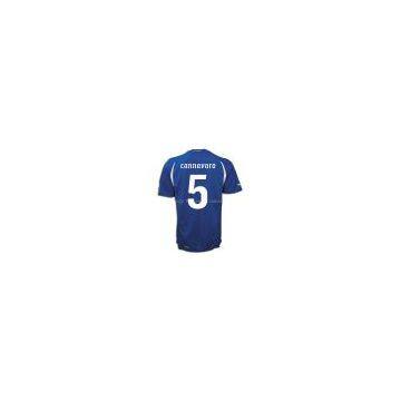 china wholesale cheap National soccer Team italy 2011 home jersey jerseys #5 cannavaro