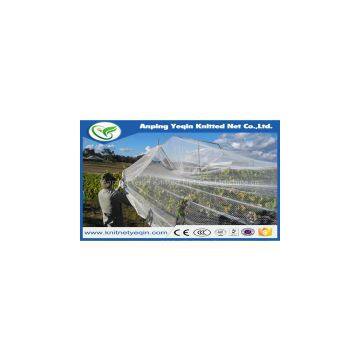 2016 hot sale hdpe anti bird protection net