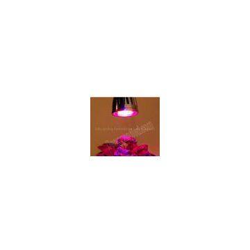 Plant Grow Light