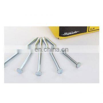 Competitive 45# Carbon Steel Concrete Nail With New Type