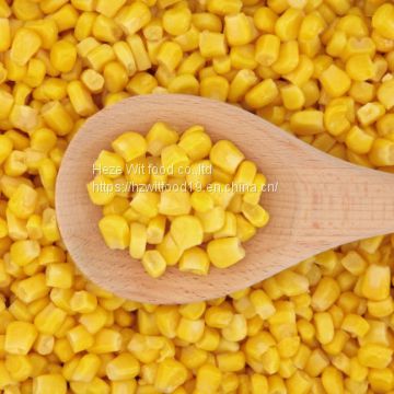 IQF Sweet Corn Kernels